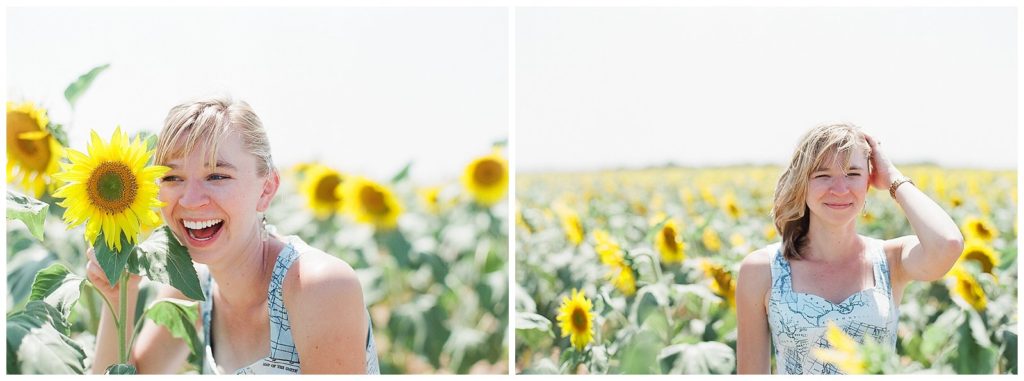 sunflower fields in France