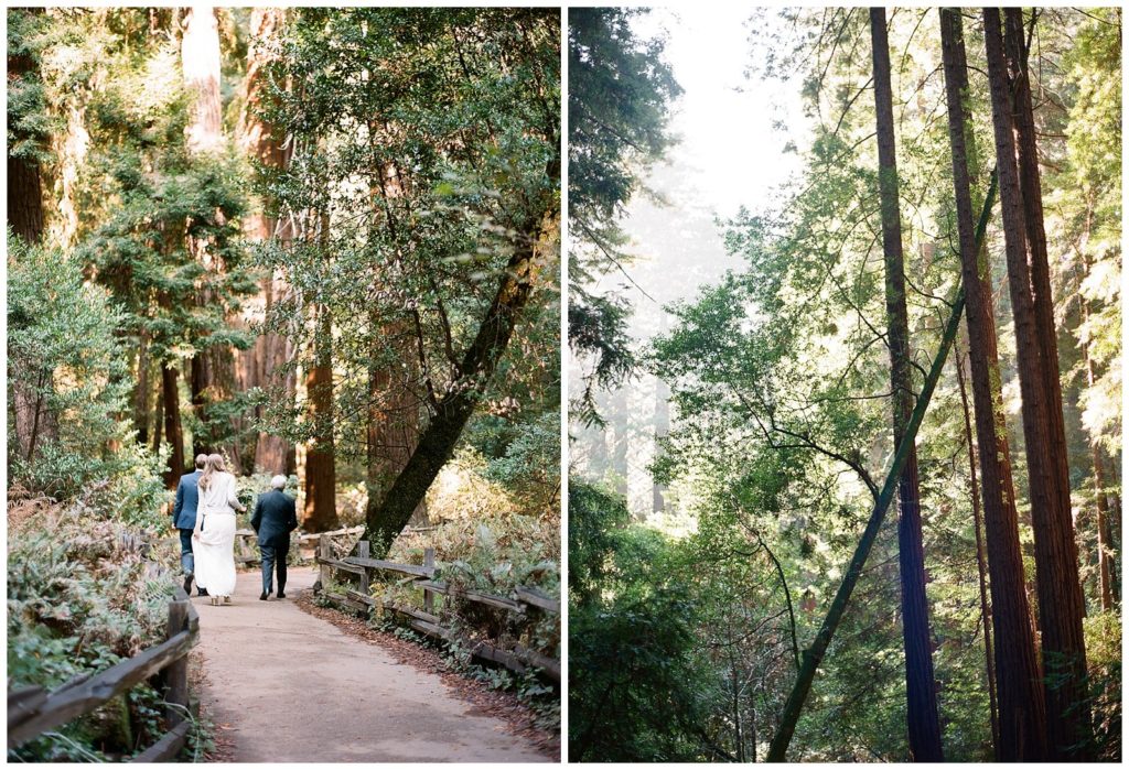 Muir woods elopement