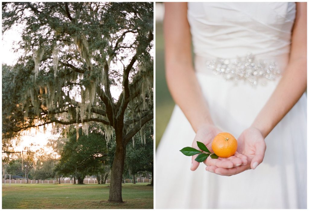 Citrus wedding ideas