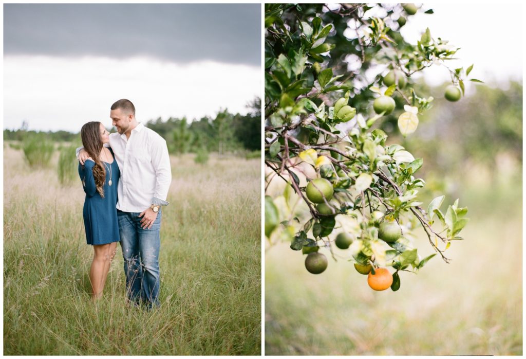 Engagement session in an orange grove