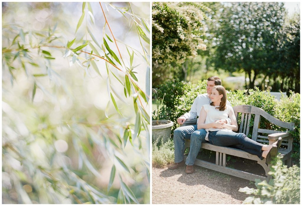 Engagement session at the McGill Rose Gardens