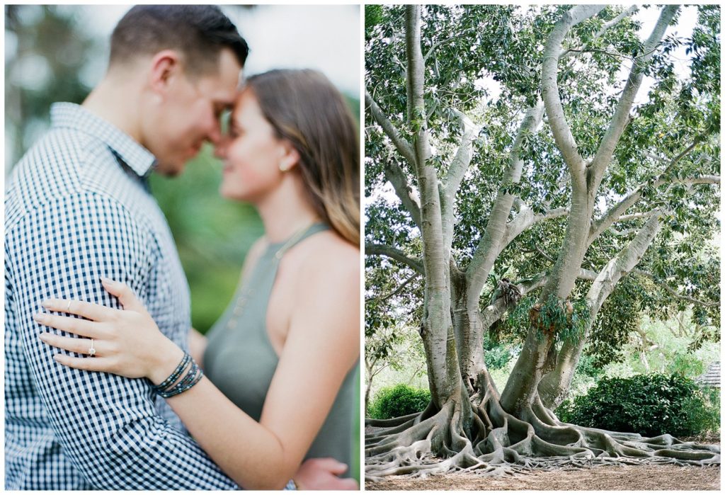 Engagement photos at Marie Selby Gardens