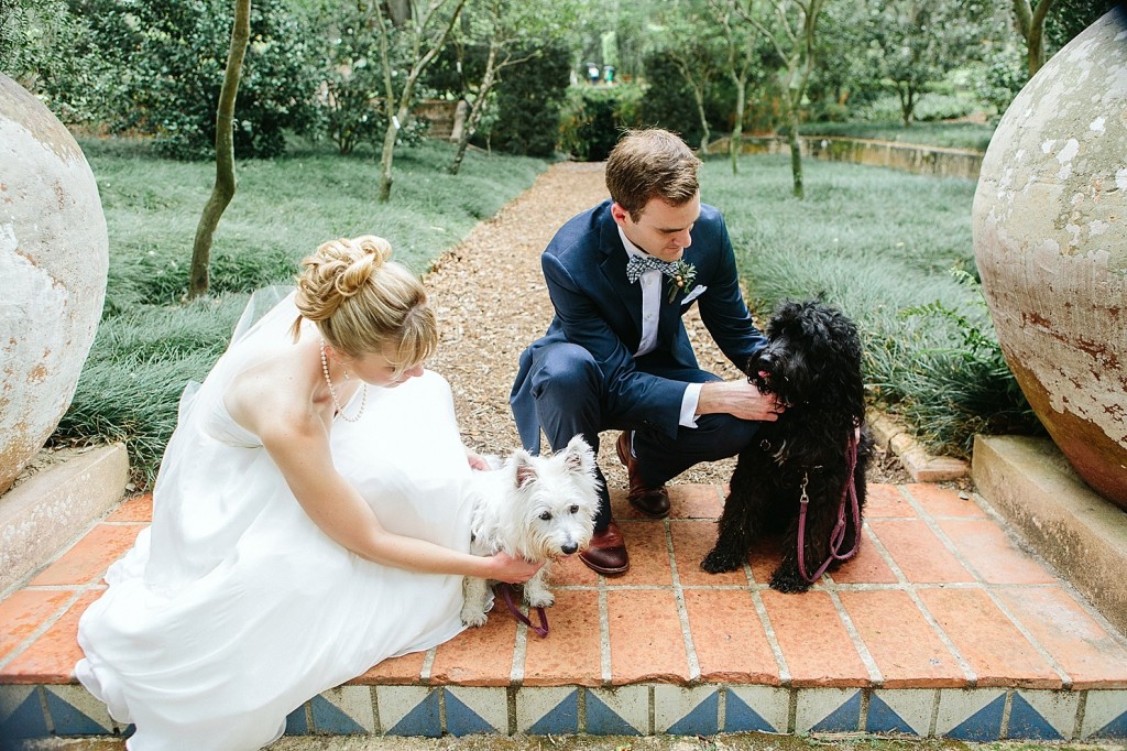 incorporating your dogs on your wedding day
