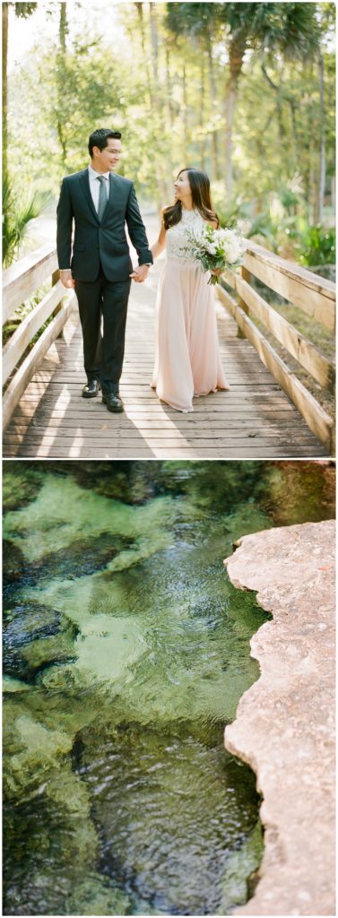 Kelly Springs state park engagement session || The Ganeys