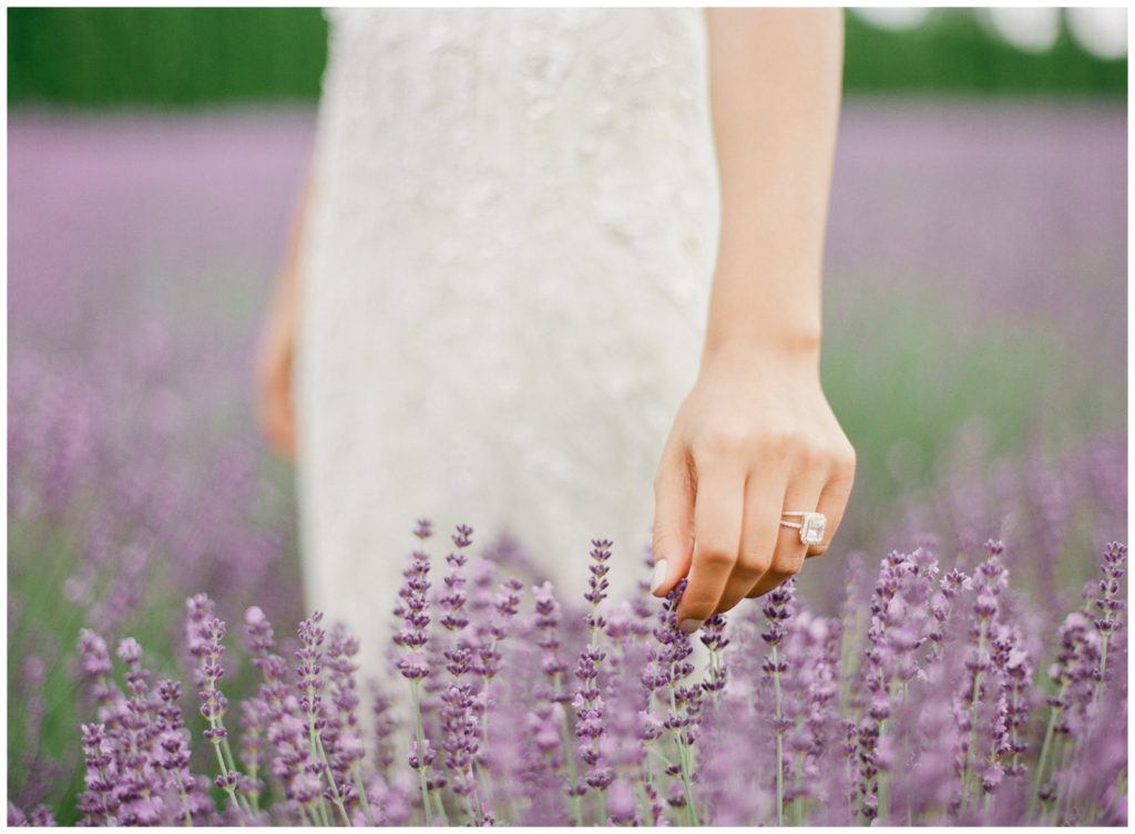 Lavender field elopement photos