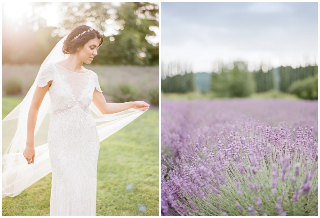 Seattle Lavender Fields