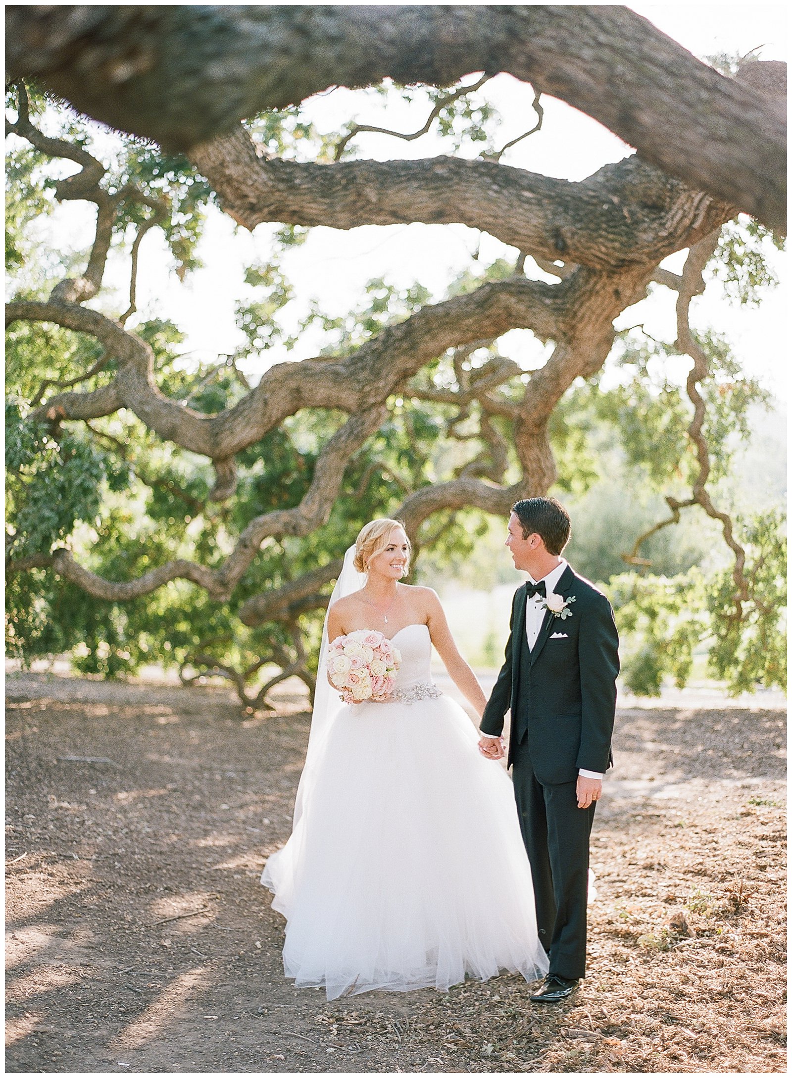 Marisa & Sean The Club at Ruby Hill Wedding in Pleasanton, California