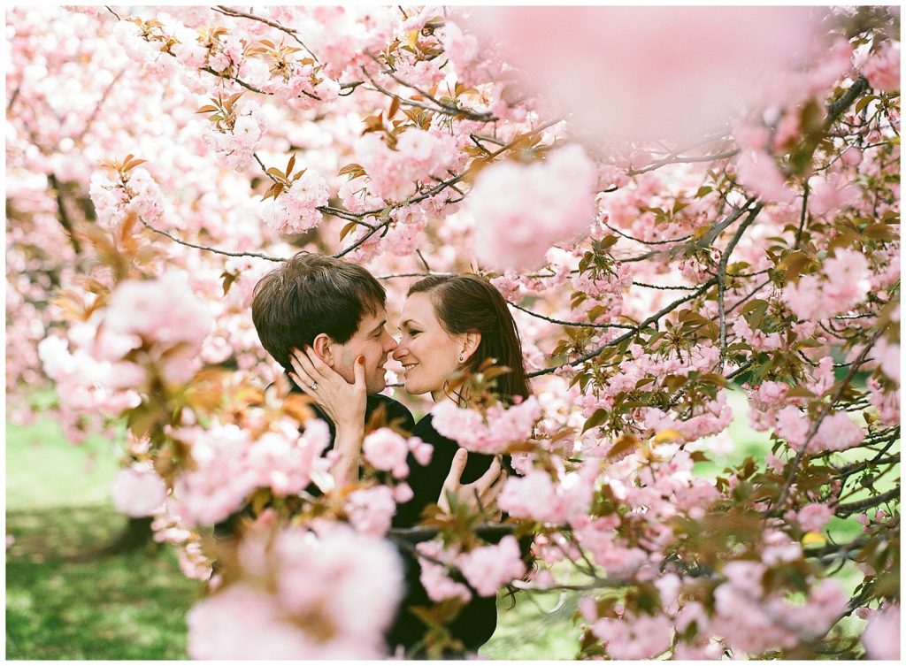Cherry blossom engagement session