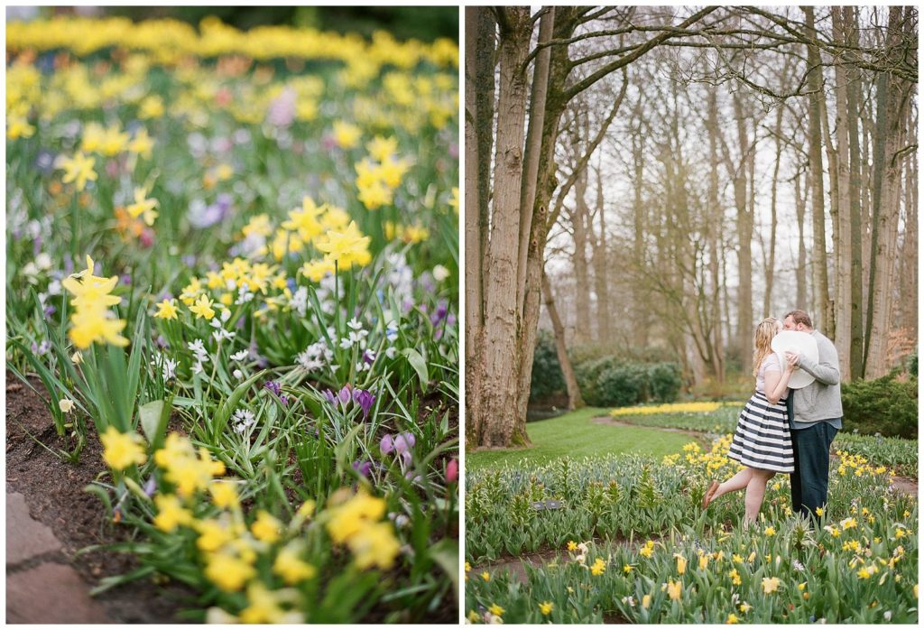 Spring time engagement photos in Holland