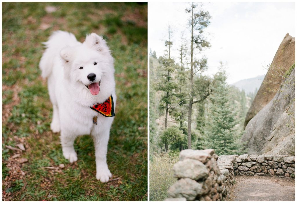 Engagement photos in Colorado Springs
