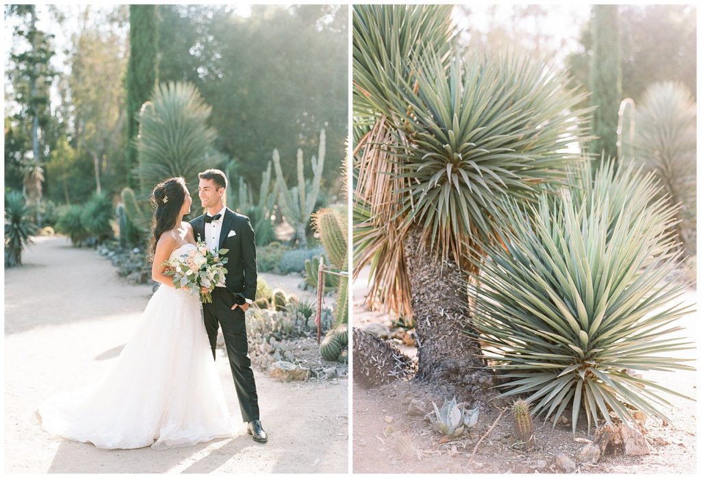 Arizona Cactus Garden wedding photos