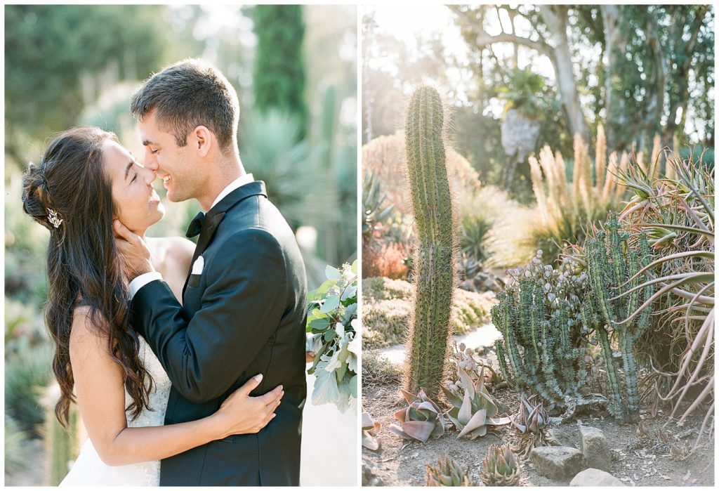 Desert wedding photos 