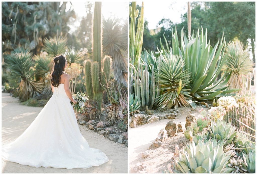 Arizona Cactus Gardens in Palo Alto Wedding Photos