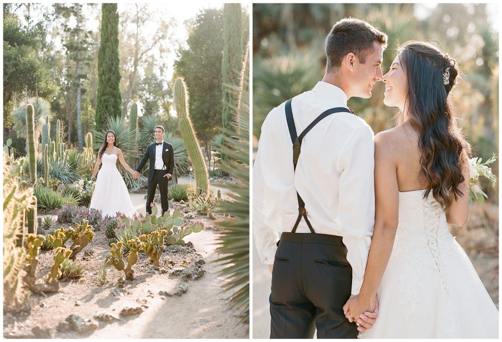 Arizona Cactus Gardens in Palo Alto Wedding Photos