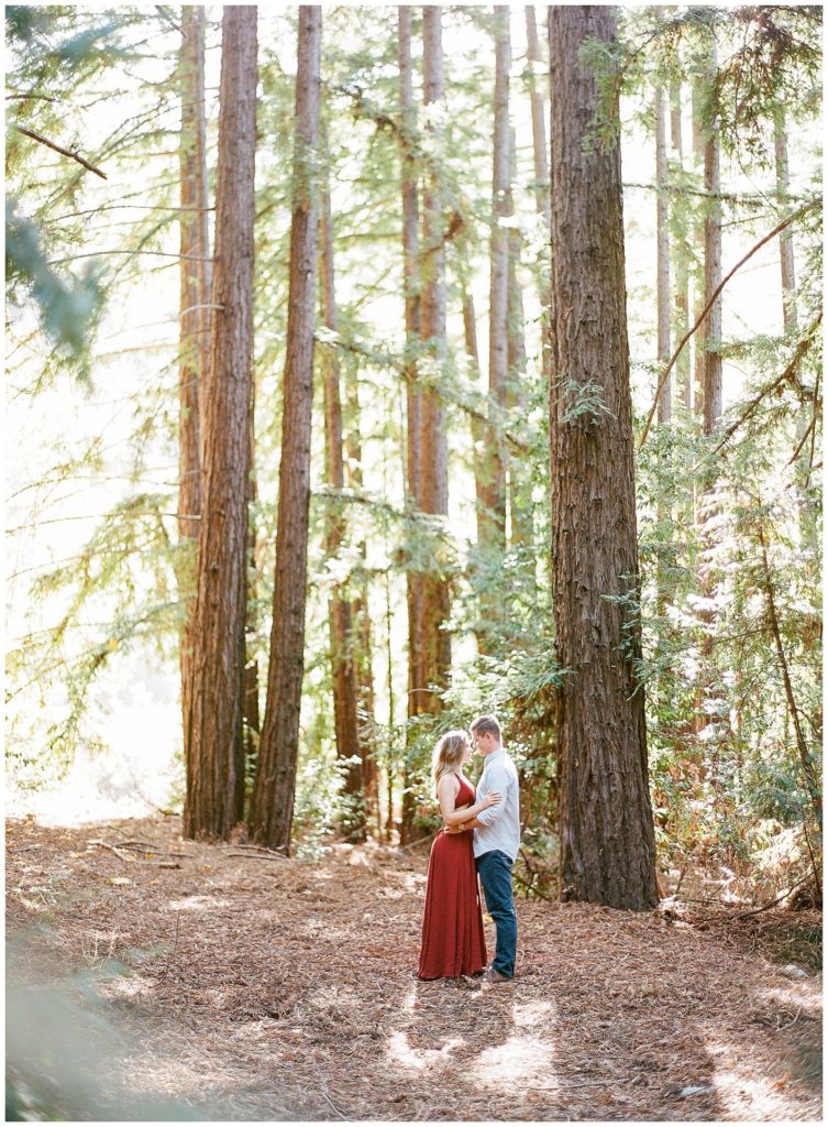 Redwoods engagement photos || The Ganeys