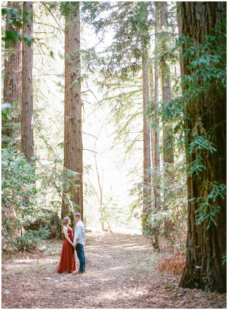 Redwood engagement photos in Big Sur || The Ganeys