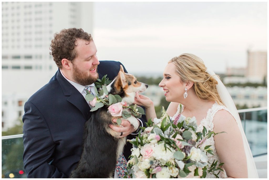 Photos with your pet on your wedding day
