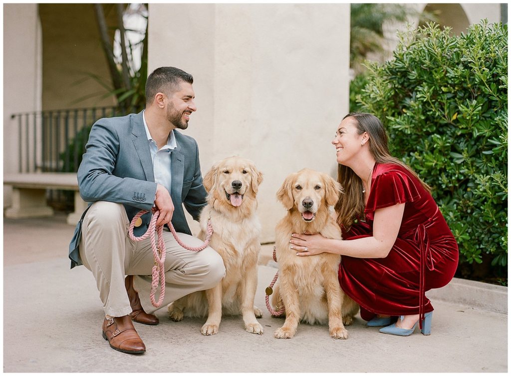 Engagement photos in San Diego with golden retrievers