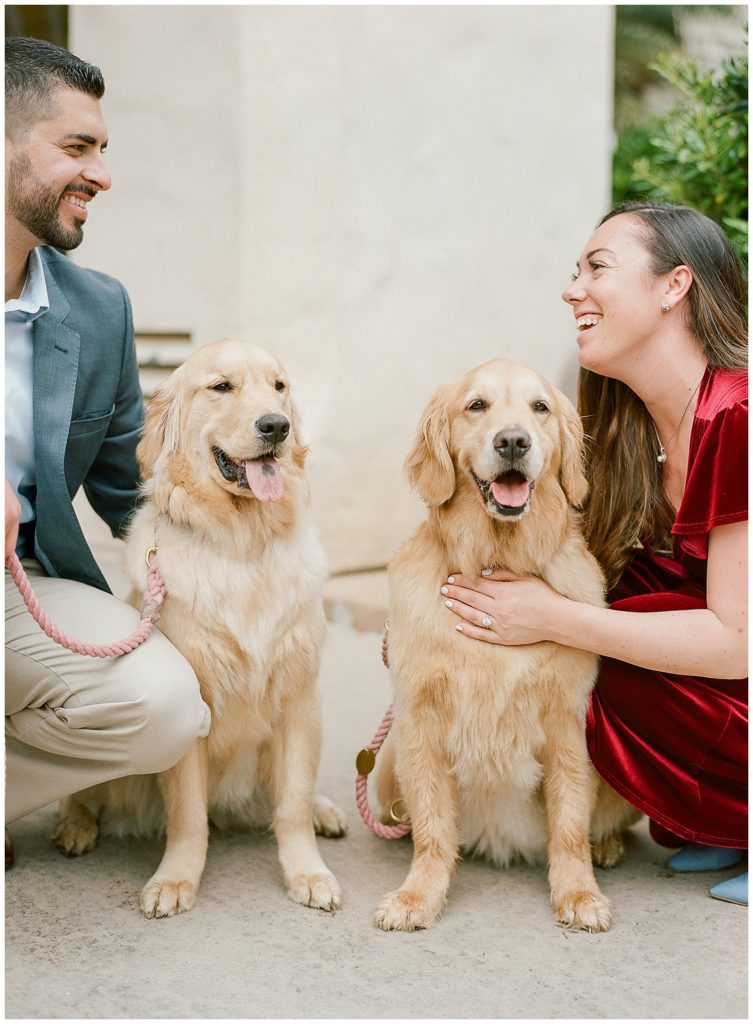 Engagement photos with golden retrievers || The Ganeys