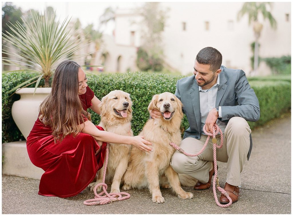 how to incorporate your dog into your engagement photos