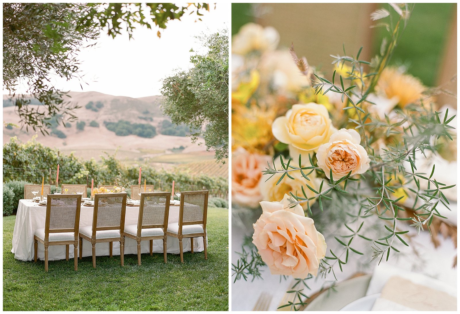 Fall Viansa Wedding in Napa with Alexandra Grecco Gown - The Ganeys ...