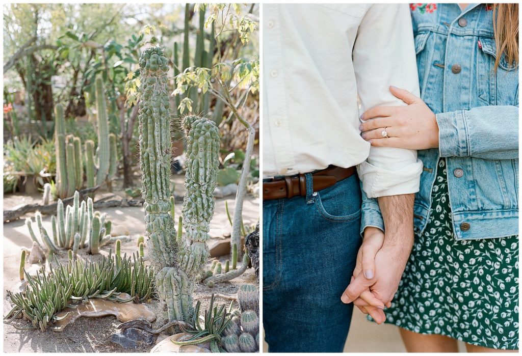 Cactus garden palm springs engagement photos