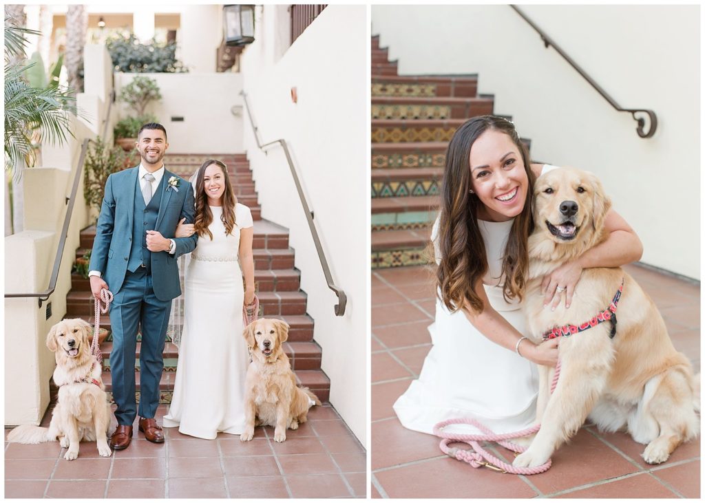 tips for including your dogs in your photos