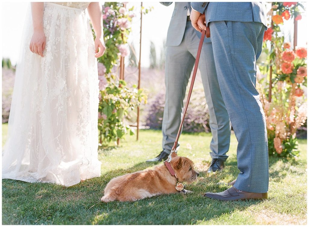 Including your dog in your wedding