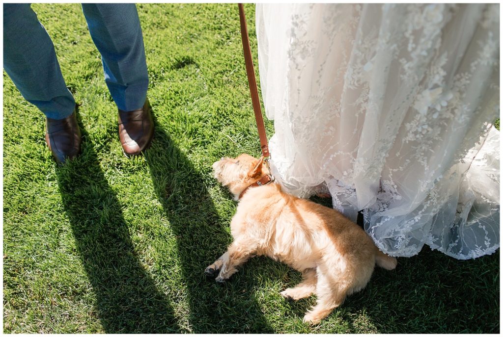 must have photos with your dog at your wedding