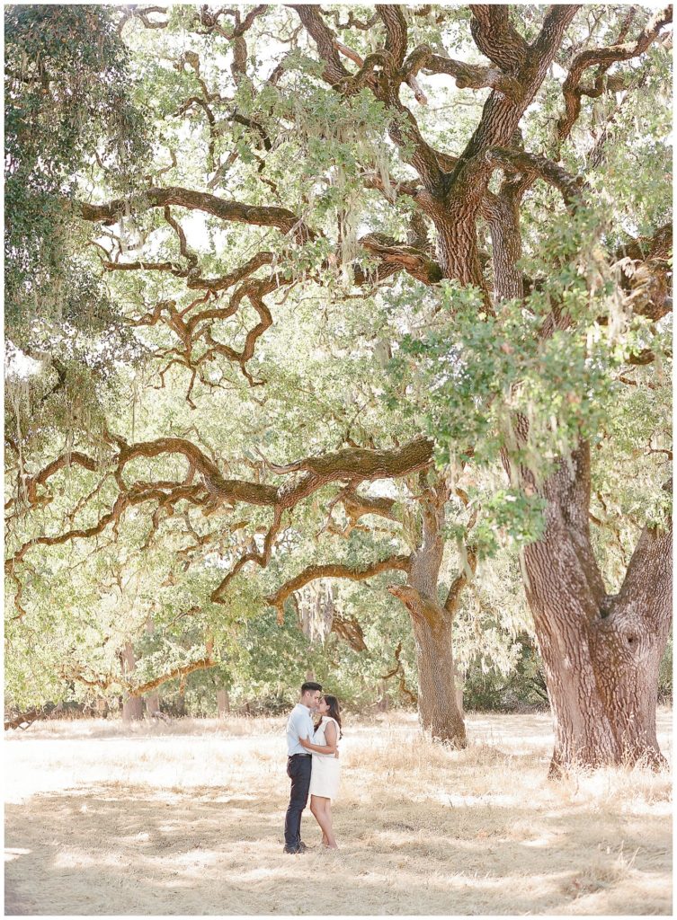 Bay area engagement photos