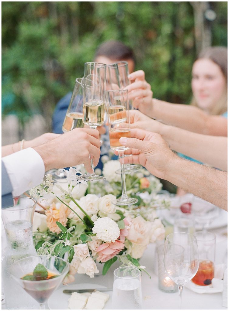 toasting wedding photo