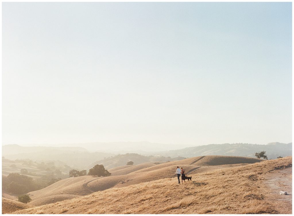 Sycamore Valley engagement photos