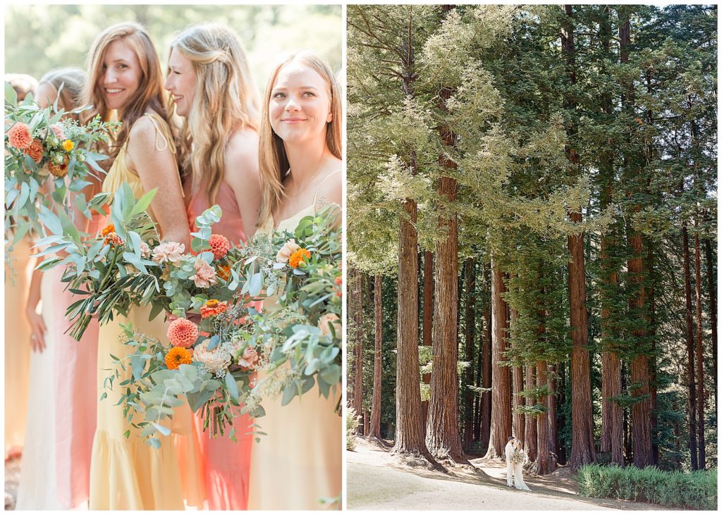 wedding in the redwoods 
