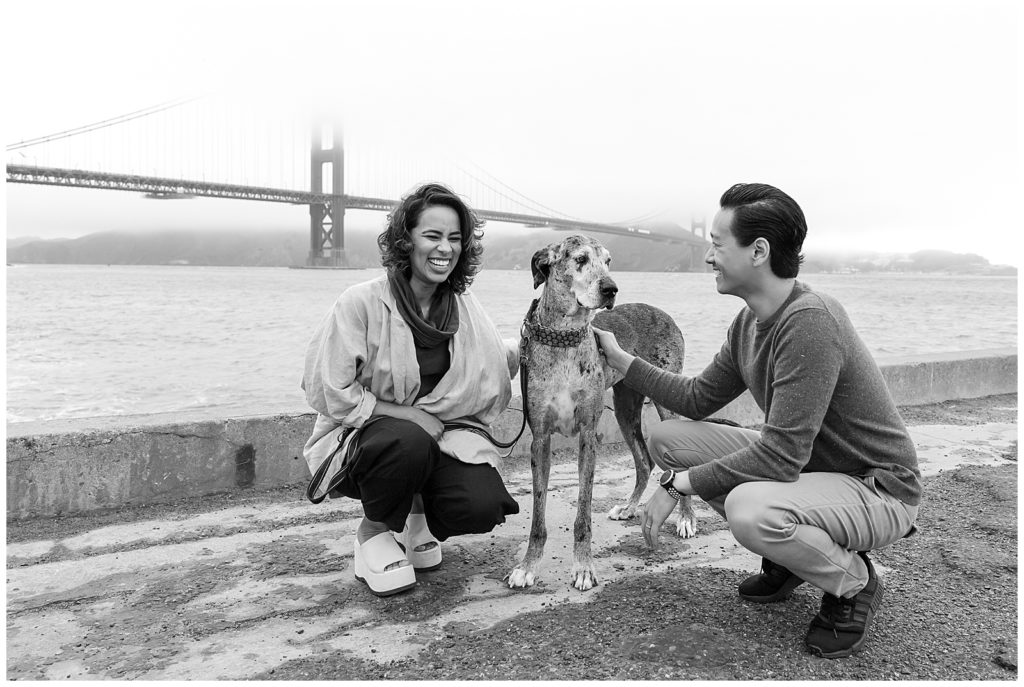 Dog photos by the golden gate bridge