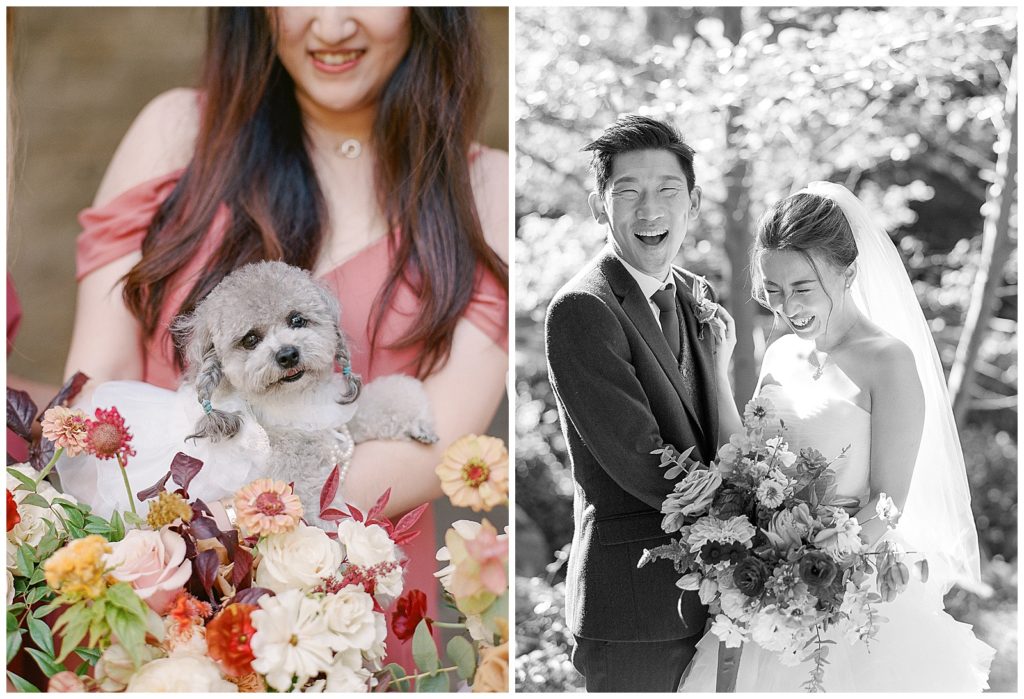 Saratoga Springs wedding with flower dog