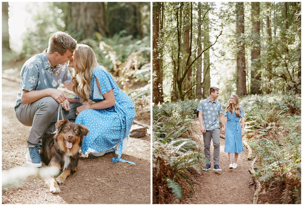 film redwood trees engagement photos