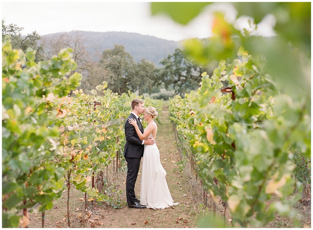Vineyard wedding at Annadel Estate Winery