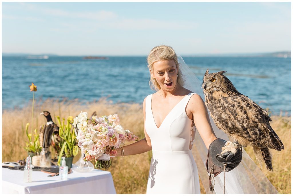 falcons at wedding