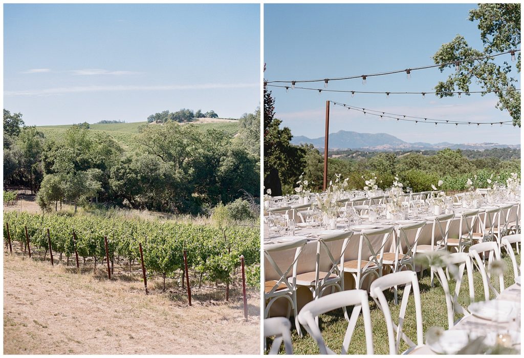 Wedding reception at Arista Winery