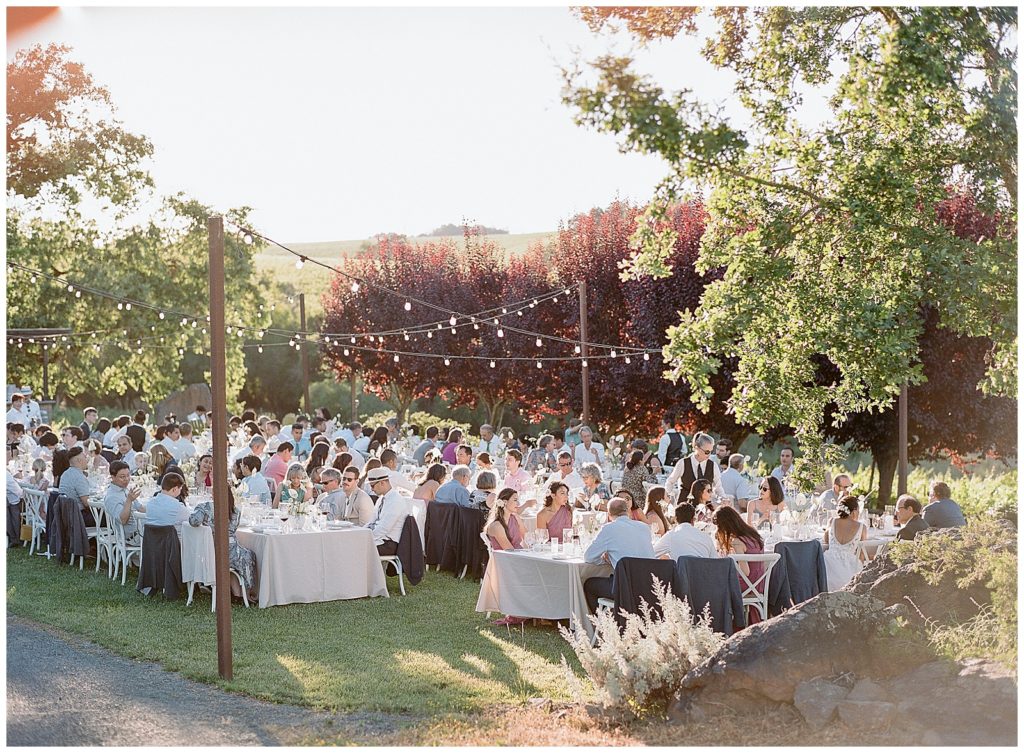 Wedding reception at Arista winery
