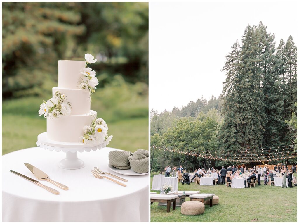 Elegant three tiered wedding cake with white cosmos