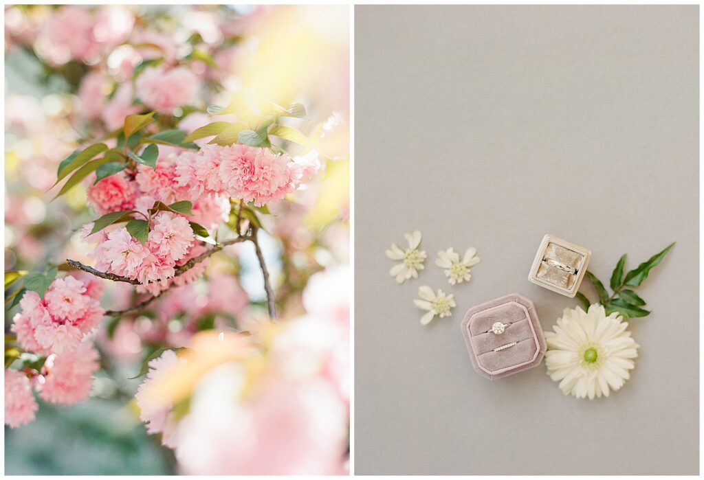 spring wedding in Napa with cherry blossoms