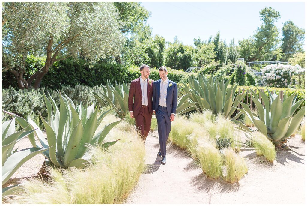 Groom portraits in the aloe at Cornerstone Sonoma